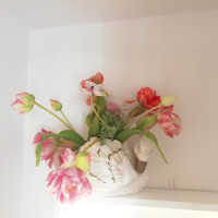 /album/bblabicocca/img-20210708-183411-jpg/